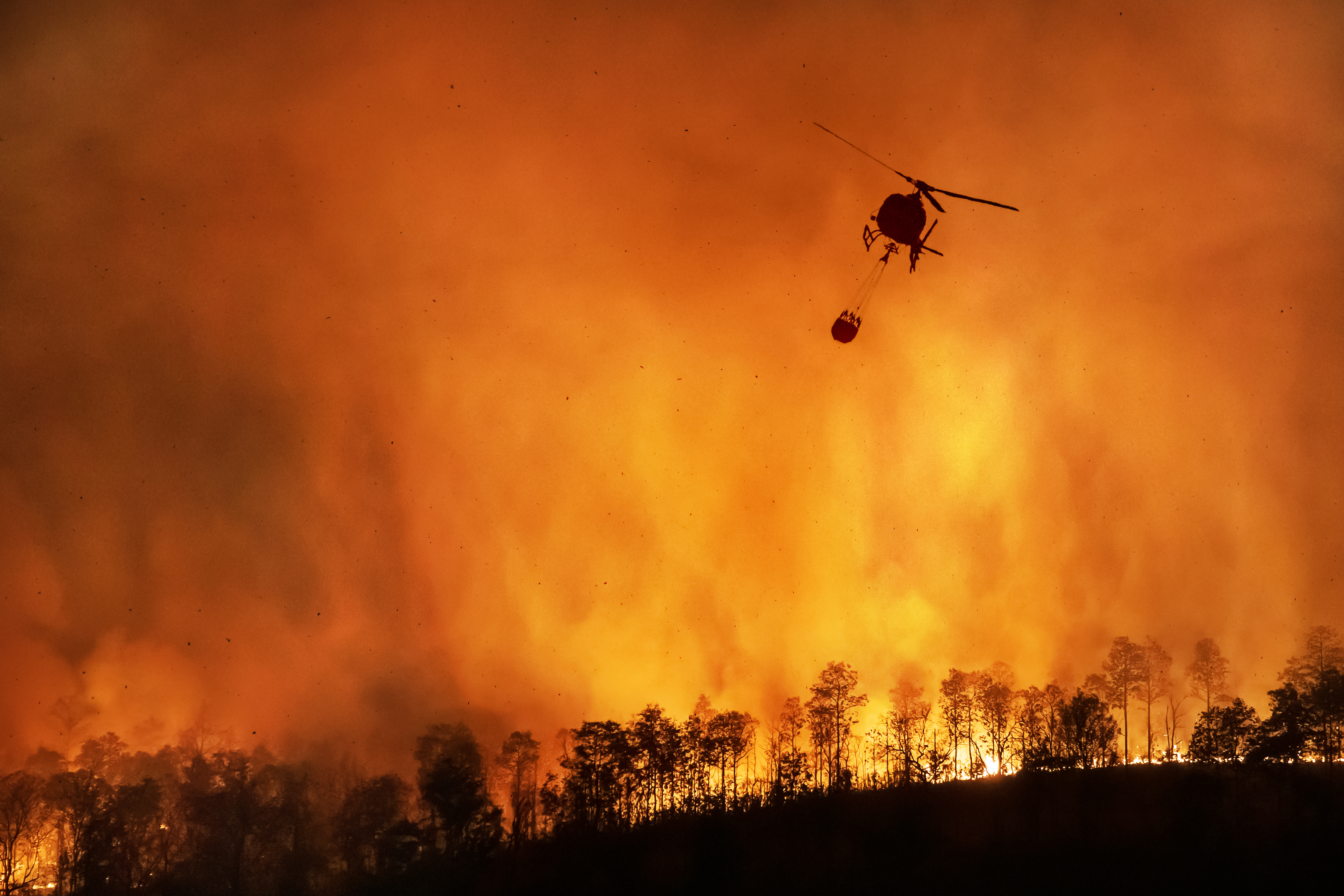 Logistics in Crisis: Navigating the Los Angeles Wildfire Disruptions