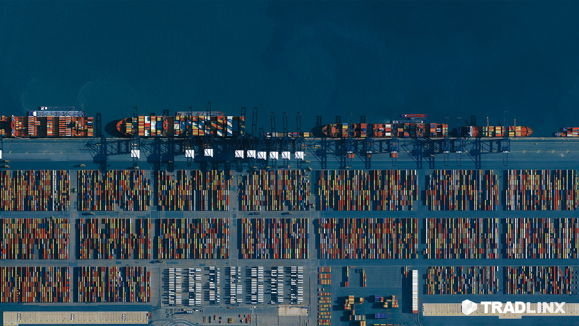 Belgium strike: Antwerp-Bruges maritime traffic suspended. What LSPs should do this week