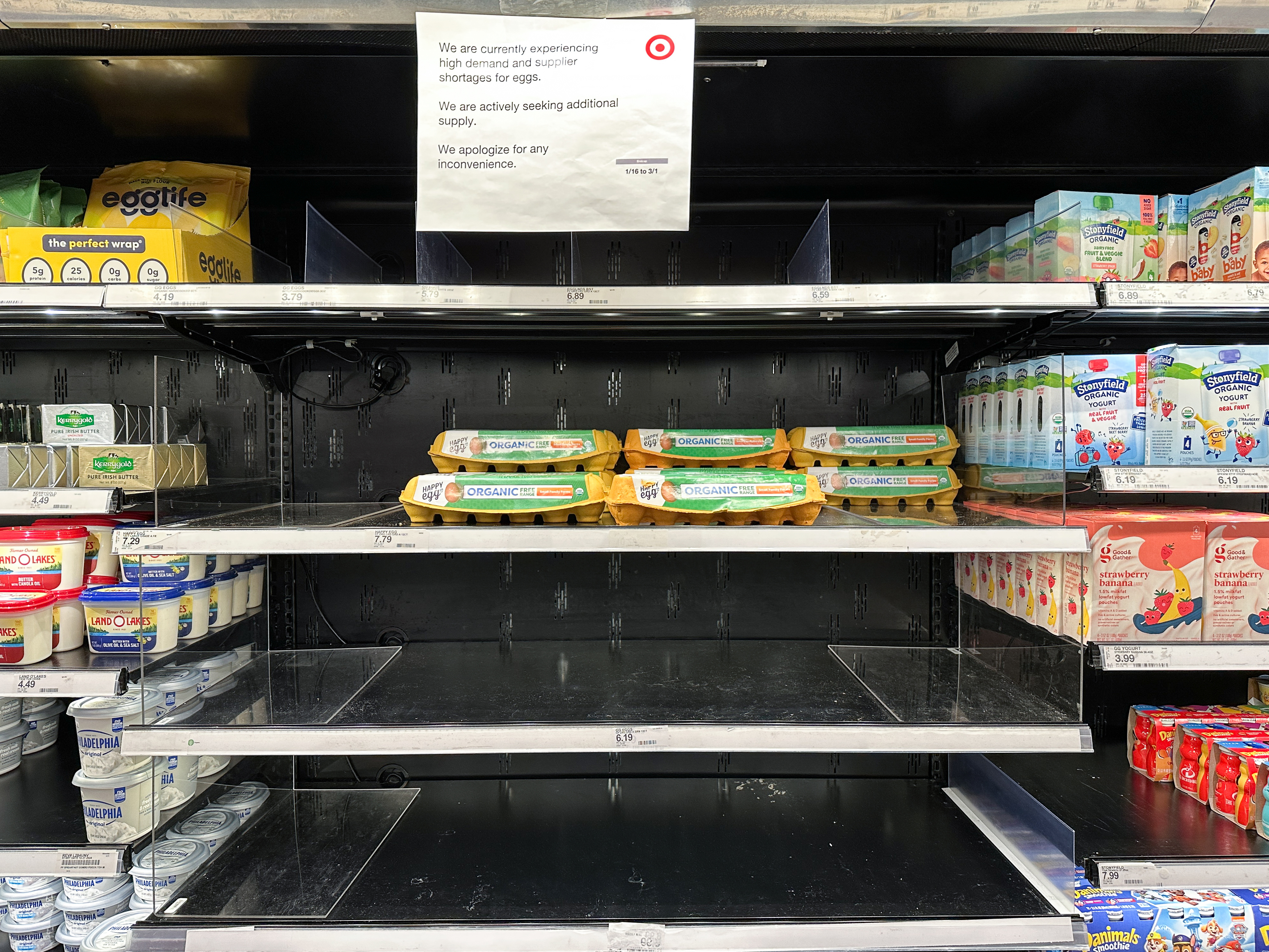 [SCM vs Tariff] Target’s 2025 Supply Chain Strategy: Navigating Tariff-Induced Challenges