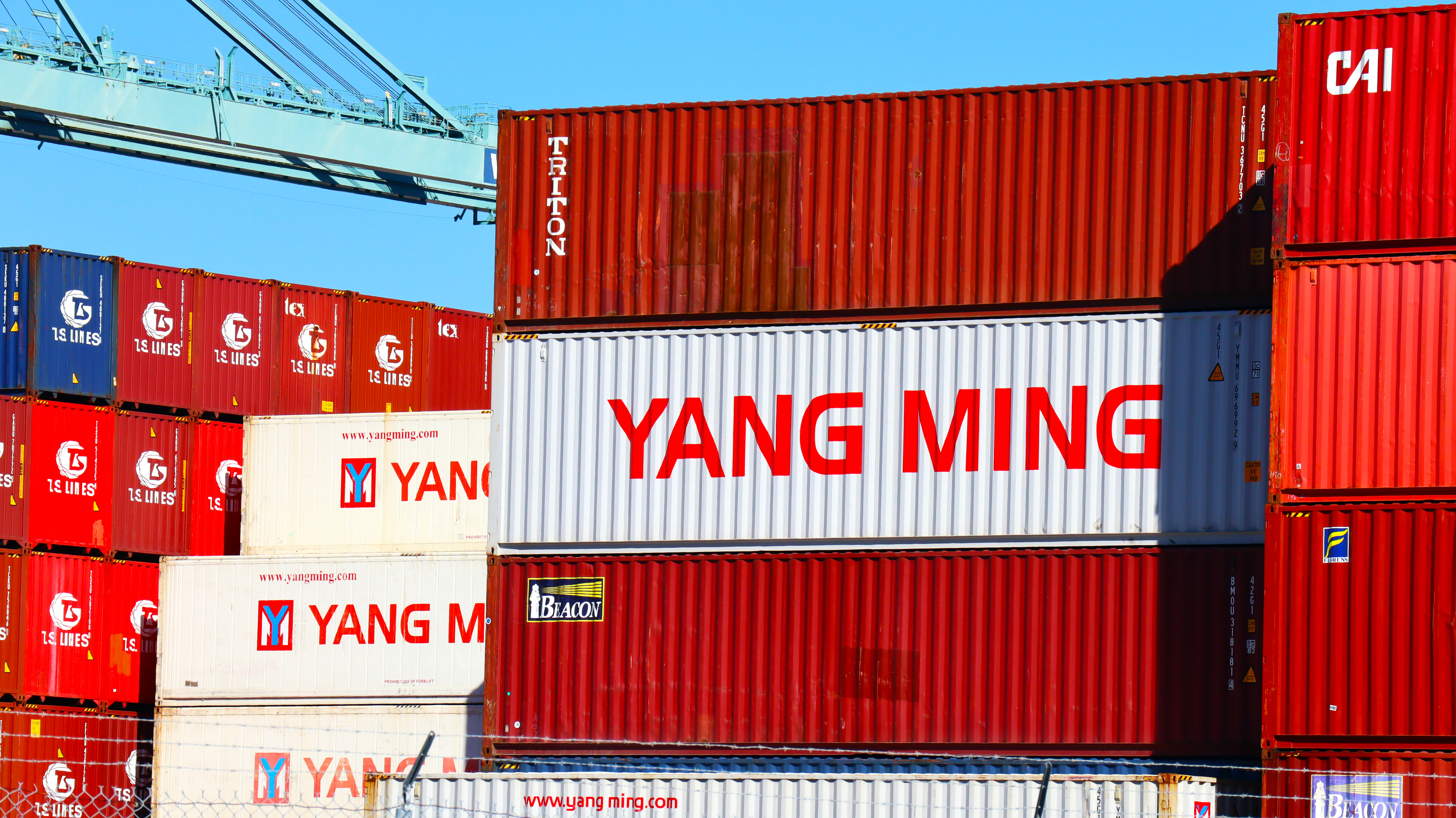 How to Track Your Yang Ming Shipment Like a Pro (2025 Guide)