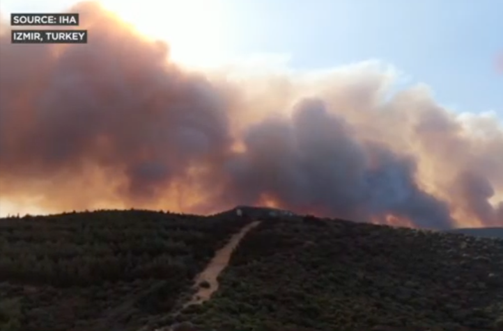 [LSP Alerts] Turkey Wildfires Shut Down Izmir Airport and Disrupt Exports – July 1, 2025